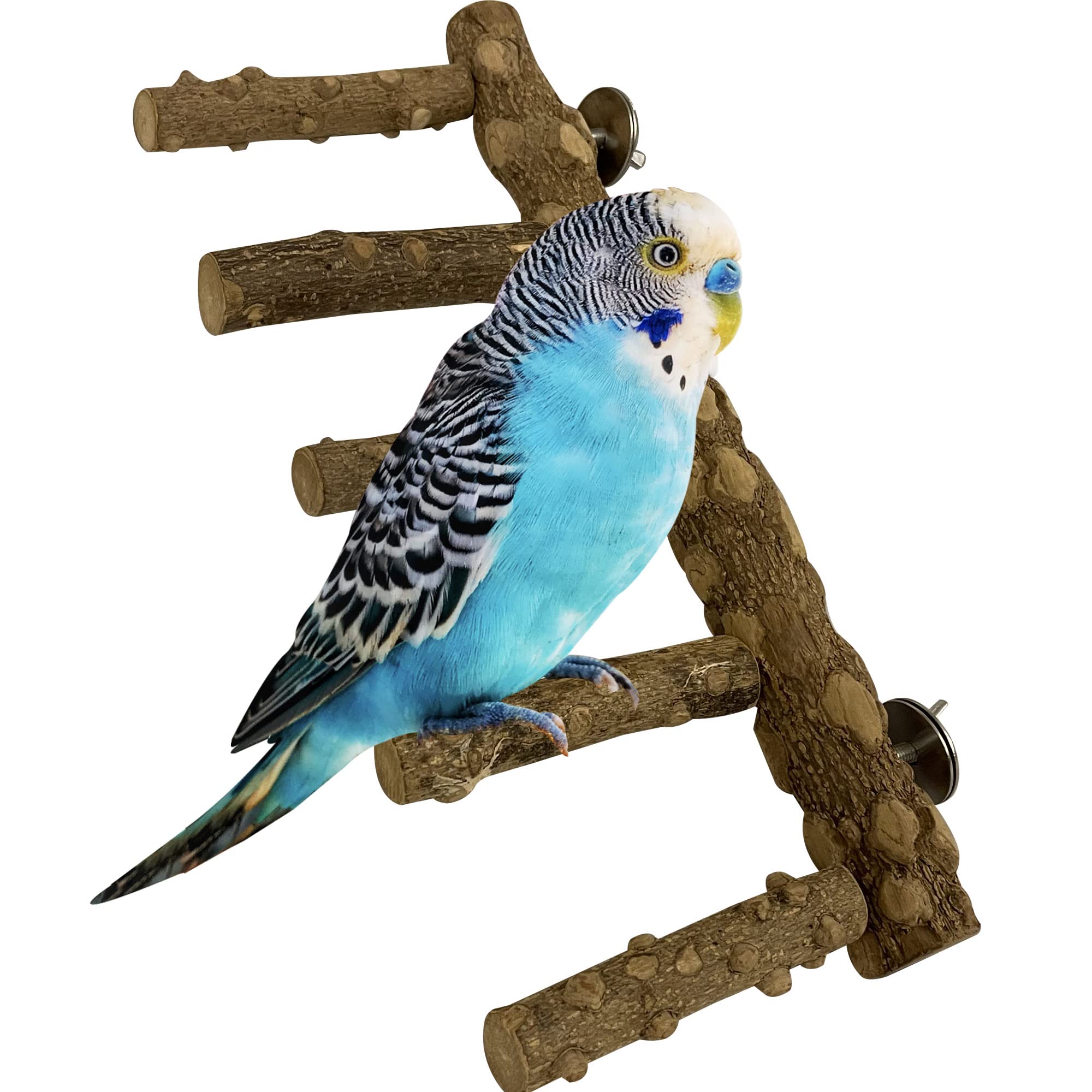 SIMENA Bird Ladder Perch Natural Wood Parrot Stand Hamster Climbing Toy Bird Cage Ladder for Small and Medium Birds Parakeet Cockatiel Conures Lovebirds Budgie